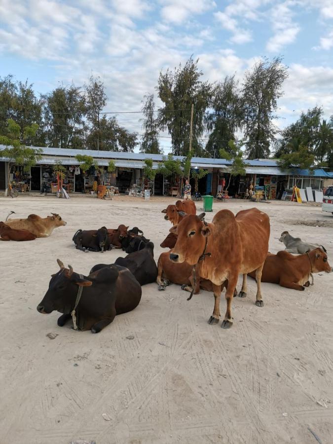 Aurora Beach Hotel Nungwi Eksteriør billede